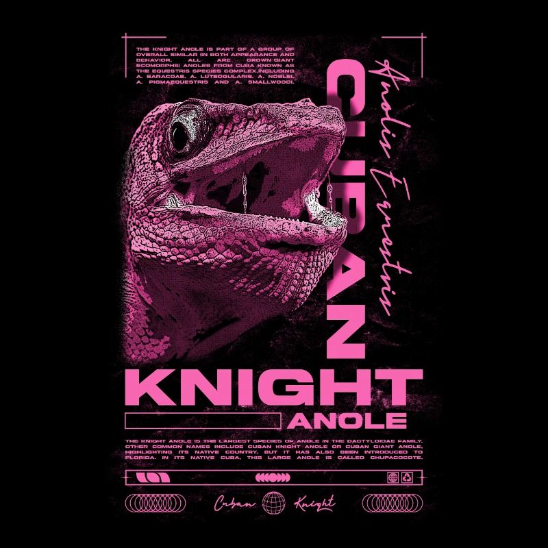 Cuban Knight Anole Reptile Keeper Lizard
