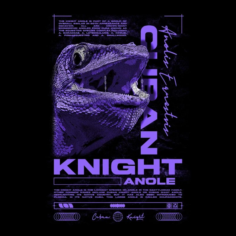 Cuban Knight Anole Reptile Keeper Lizard