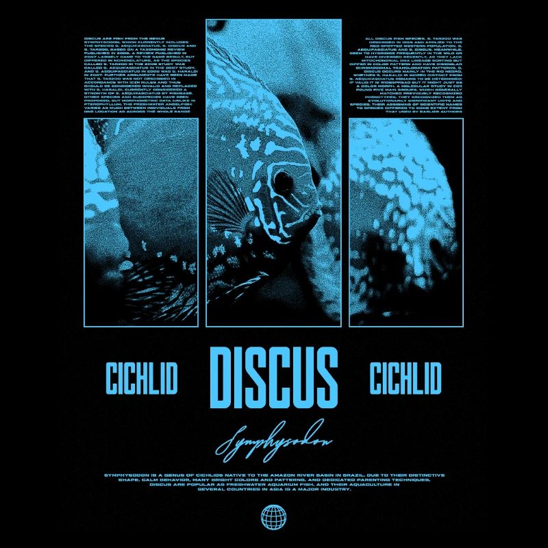 Discus Cichlidé Aquarium Fish Keeper