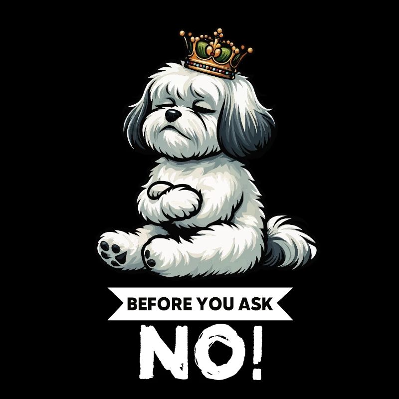 Avant de demander Havanese Havanese Keepers Havanese