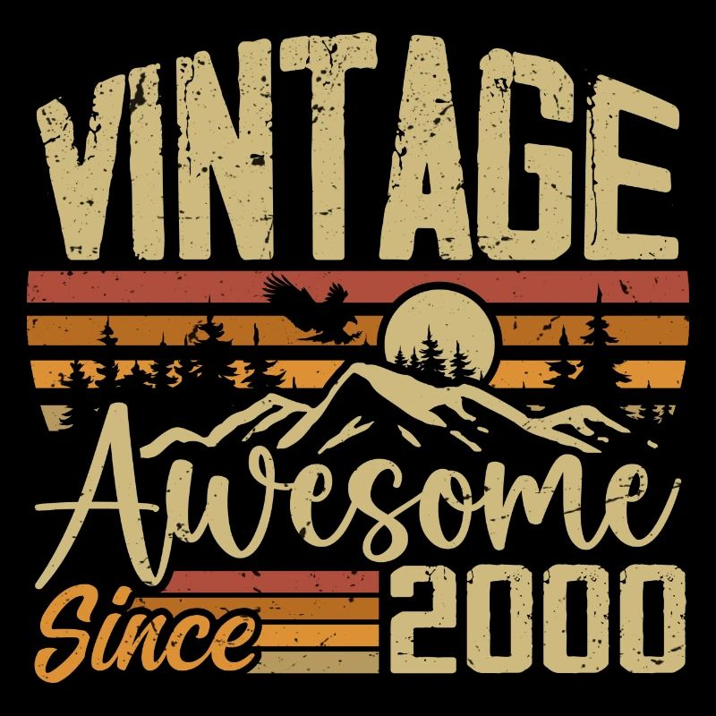 Vintage 2000 Retro 2000 Geburtstagsgeschenk