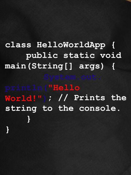 Programmer Coder Software Developer