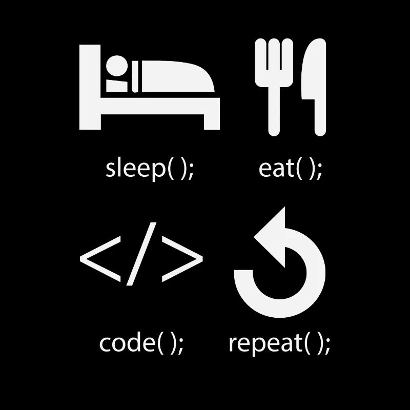 Programmer Developer - Eat Sleep Code Repeat