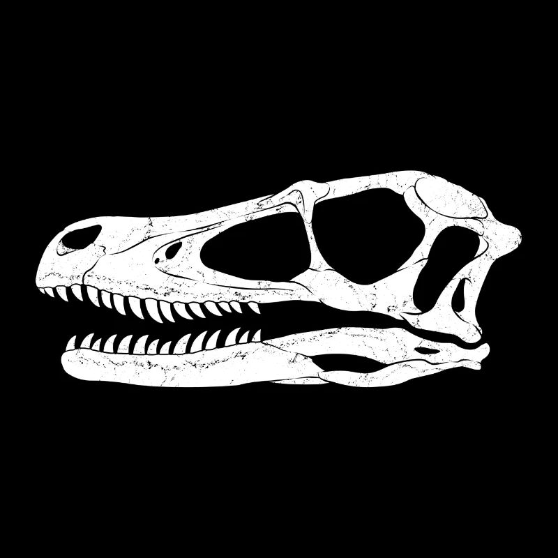 Fossile de Velociraptor