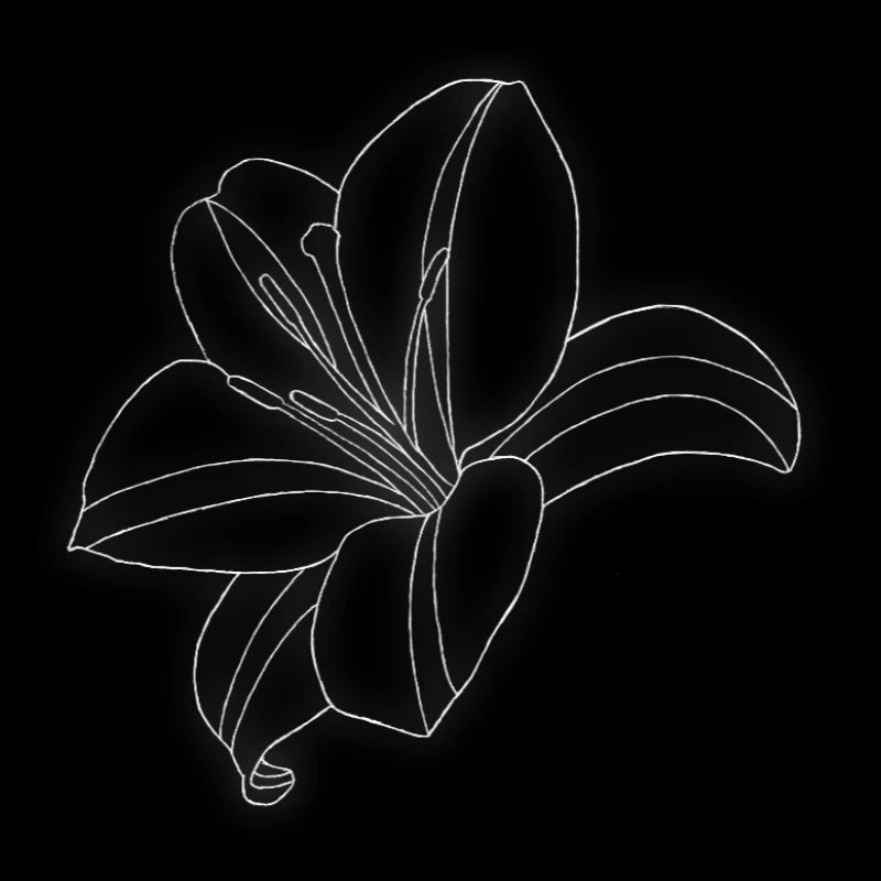 Lily