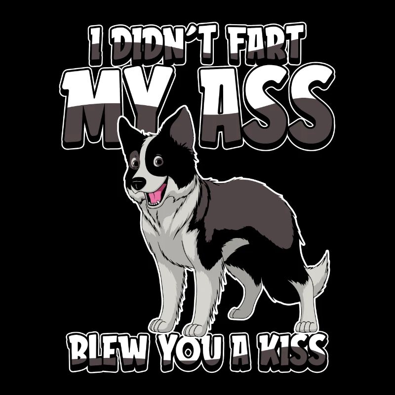 Border Collie Lustig