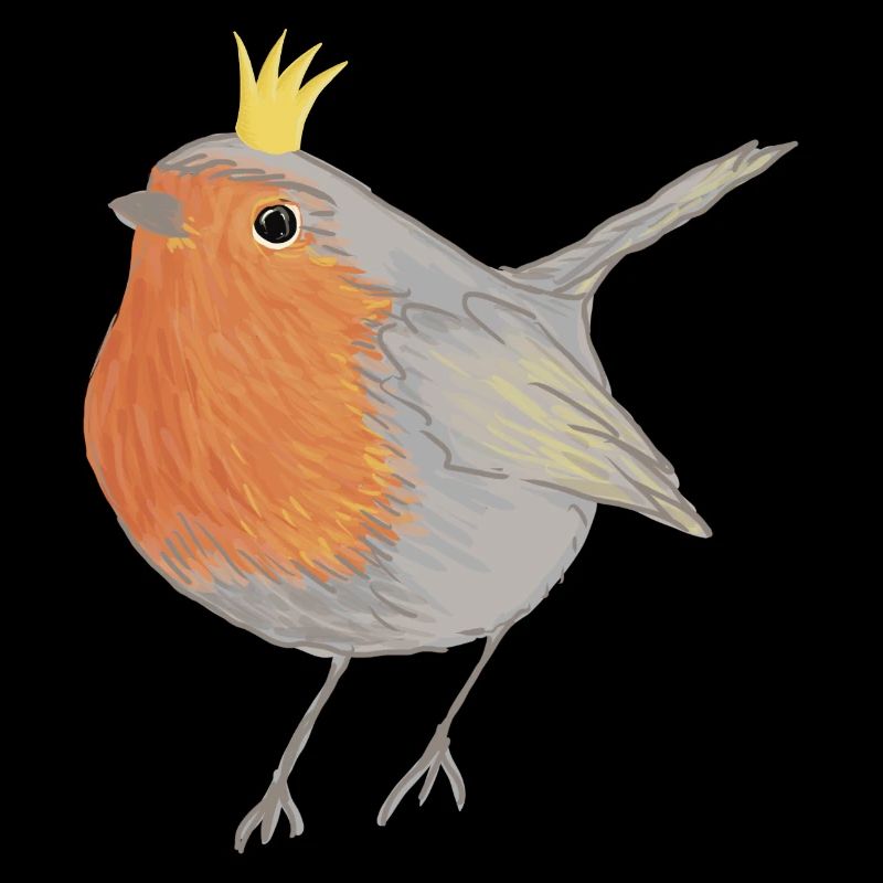 Princesse Robin