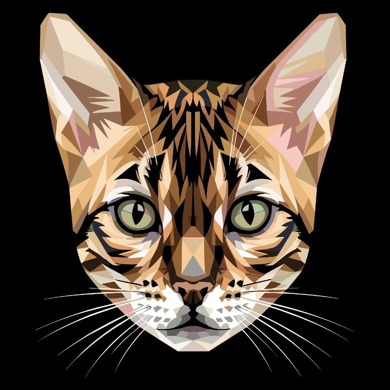 Bengal Katze Leopard Cat Leopardette Bengal Katzen