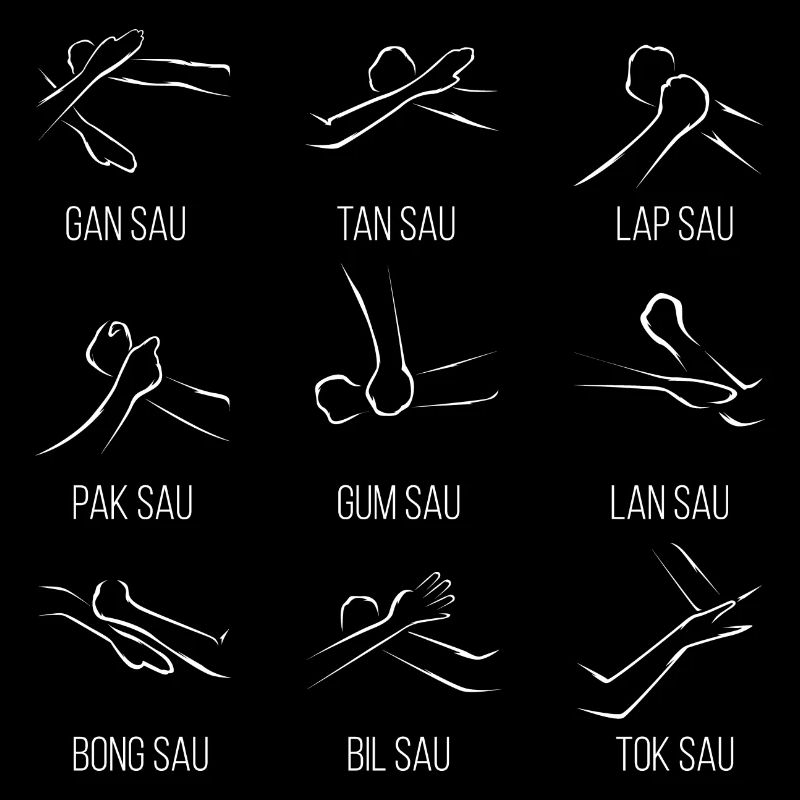 Wingtsun Wing chun
