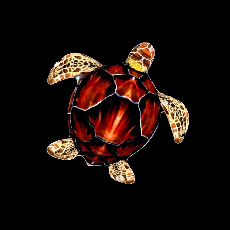 Pattern sea turtle illustration