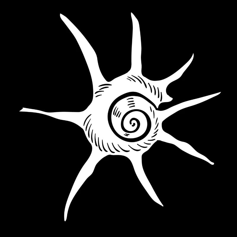shell
