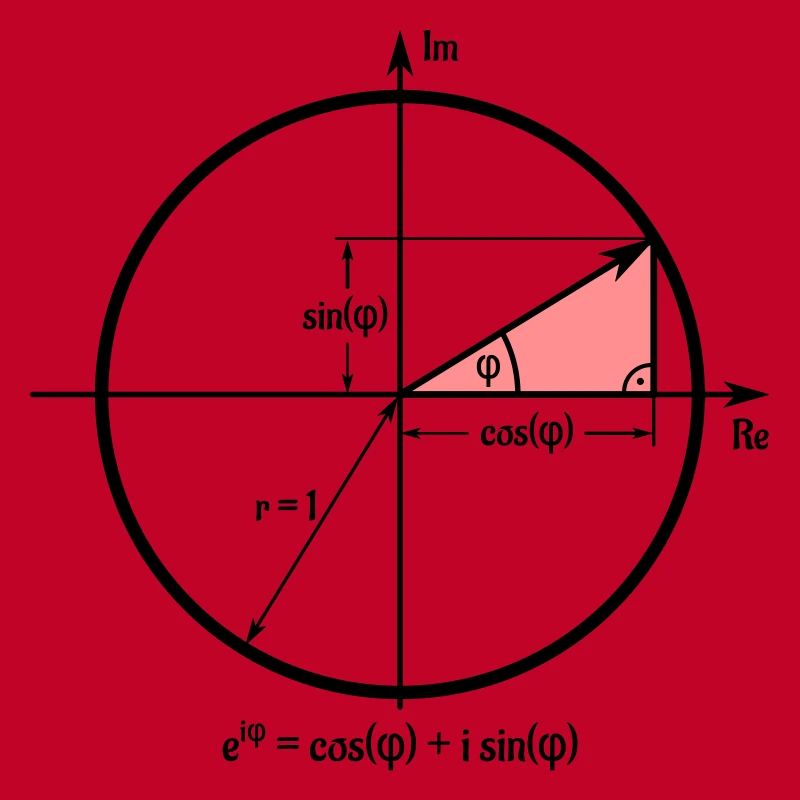 Euler's formula in the unit circle