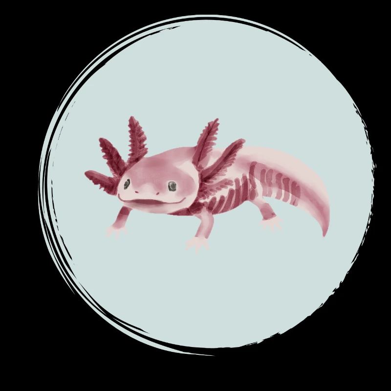 Illustration du squelette de l’axolotl rose