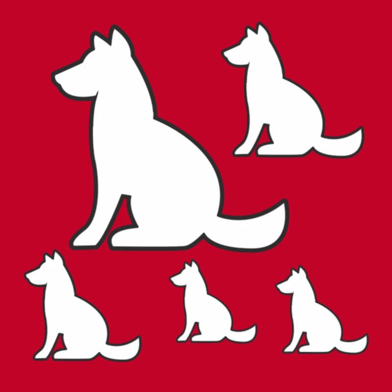 canine