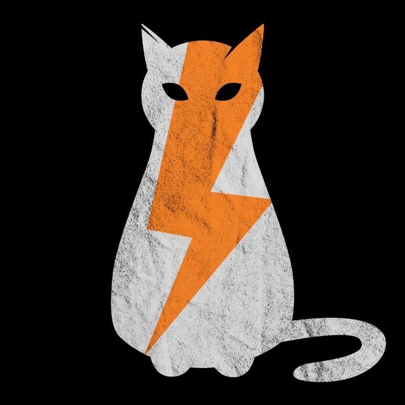 Cat lightning strike