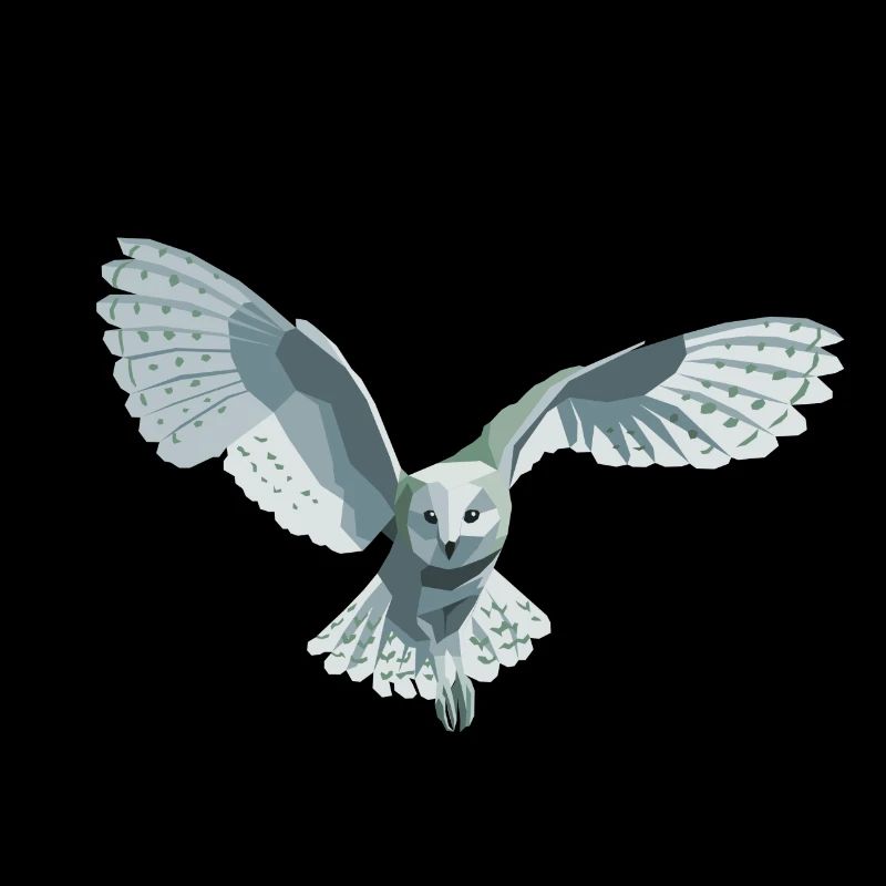 barn owl