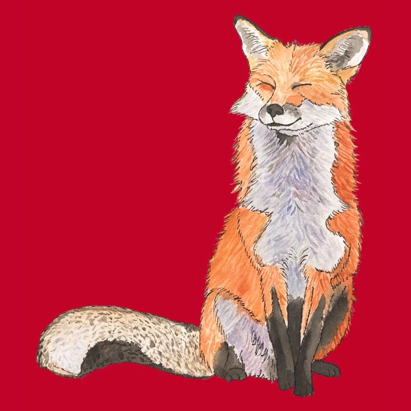 Fox sitting satisfied Fox smart foxes