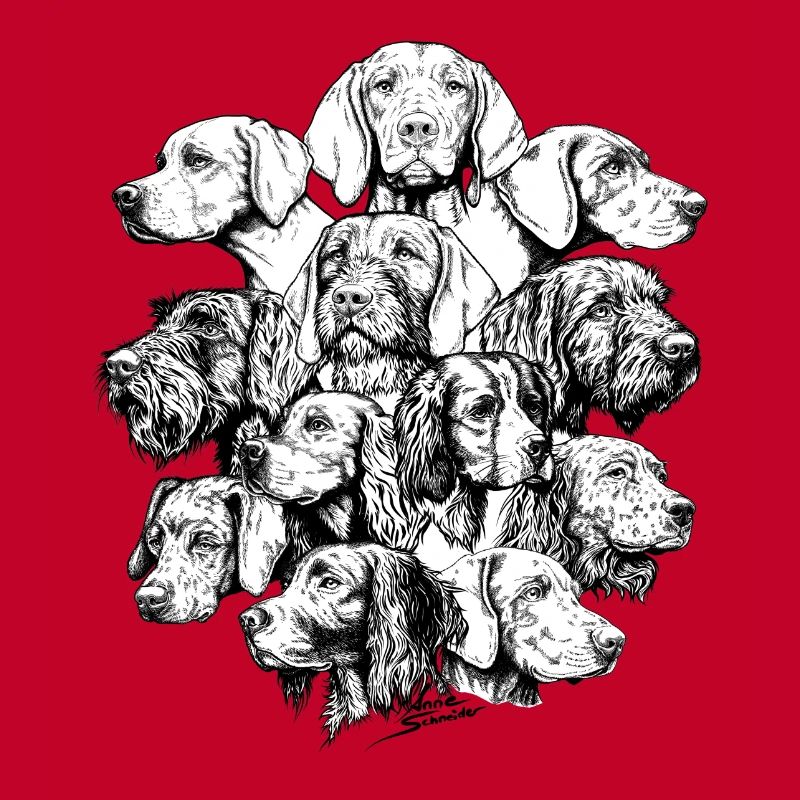 Chiens pointant des objets cachés