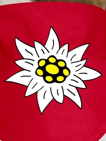 edelweiss