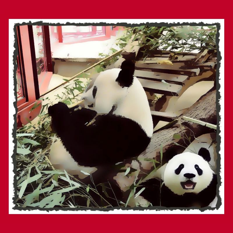 Mode Panda activé