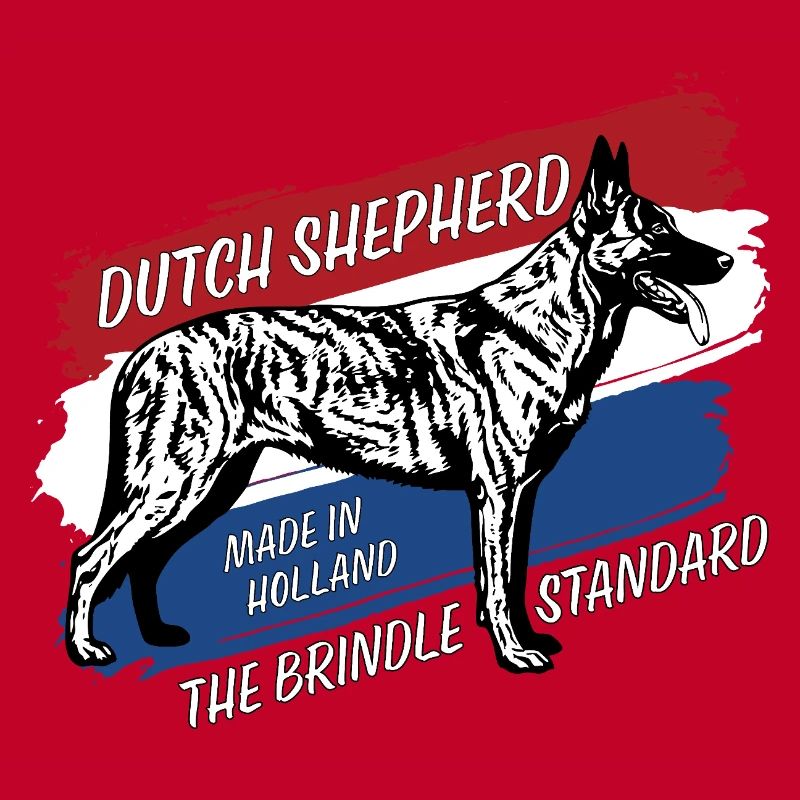 Dutch Shepherd - Dutchie 