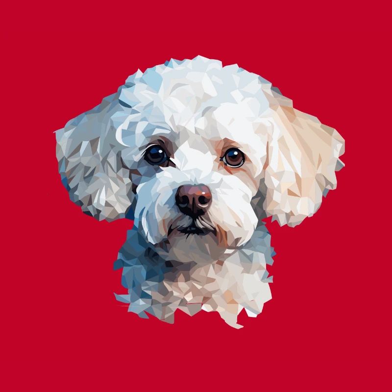 Conception de polygones caniche