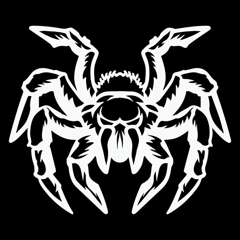 spinne
