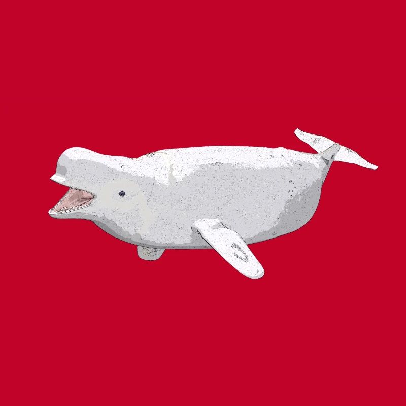 Beluga Wal, Geschenk, Geschenkidee