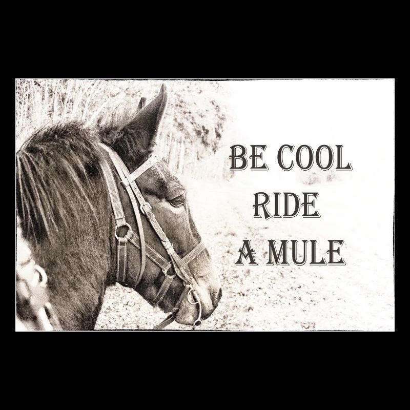 Be Cool Ride A Mule