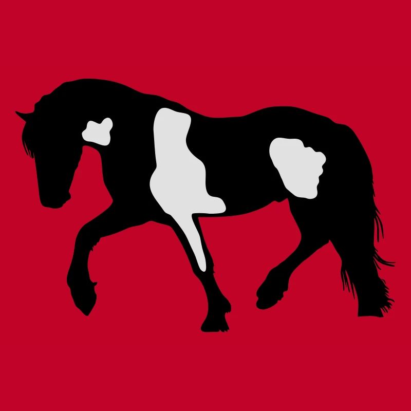 Tinker, Pinto, Barock Pinto, Schecke Silhouette