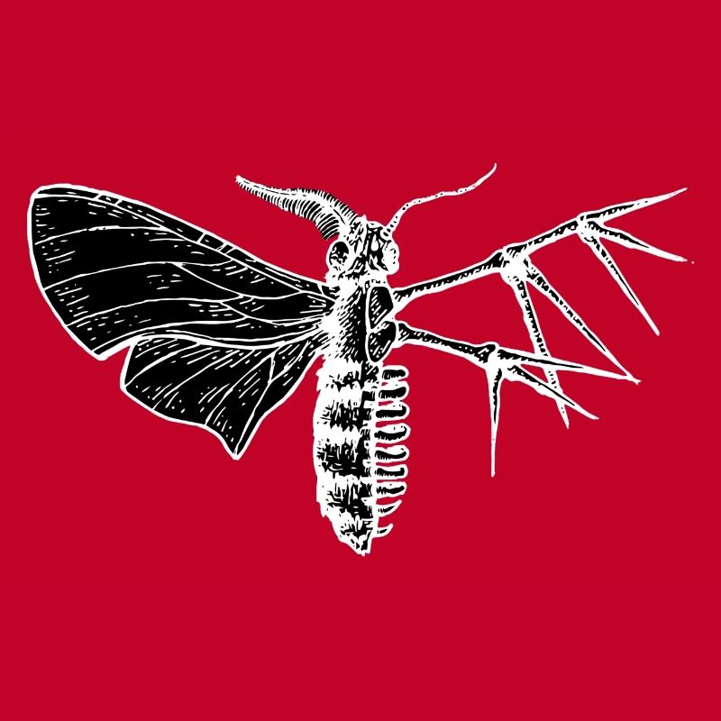 moth