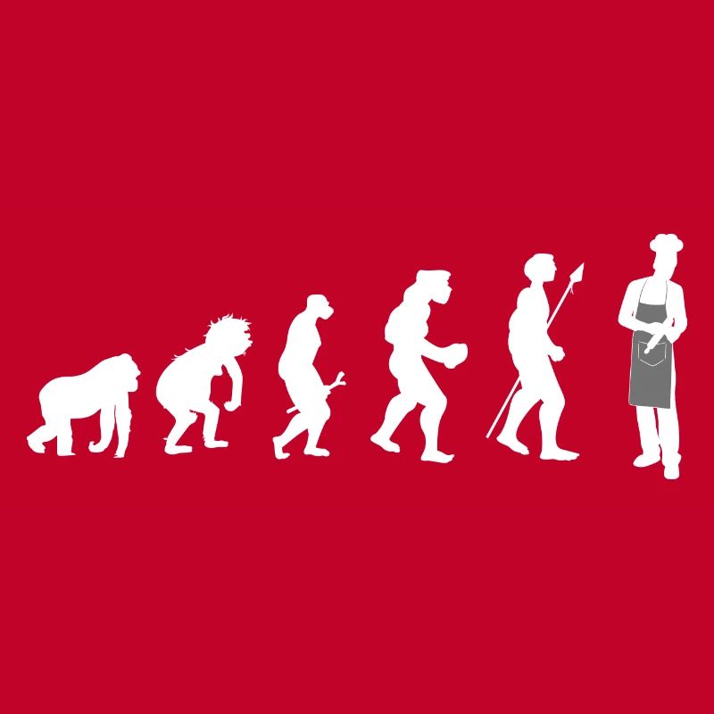 KochKoch Evolution