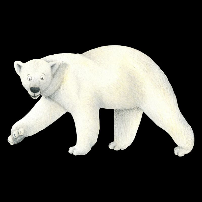 Eisbär