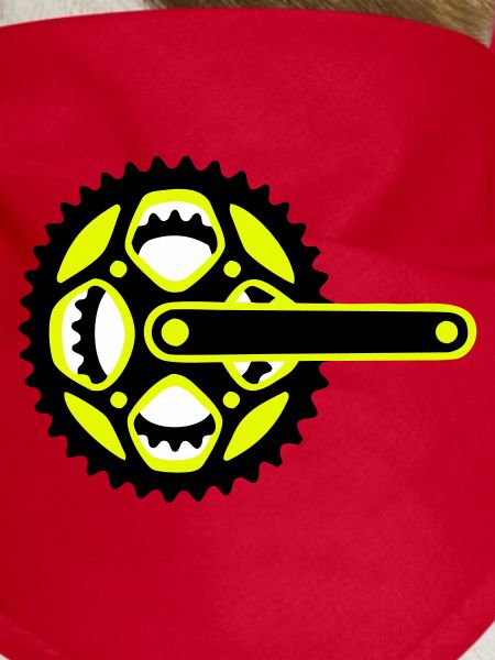 Bicycle Chainring Icon
