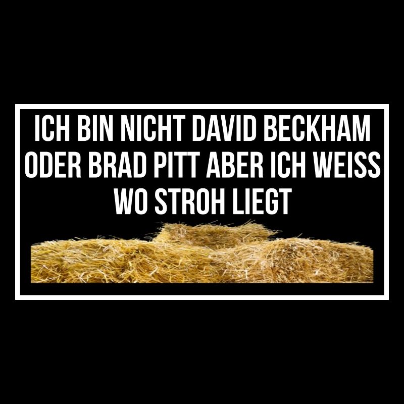 Stroh