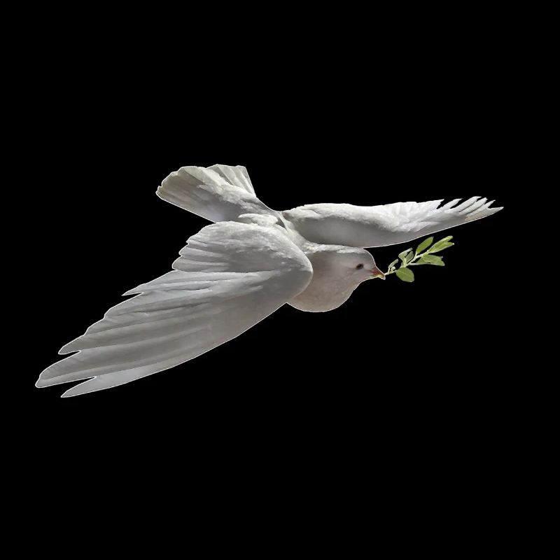 Peace