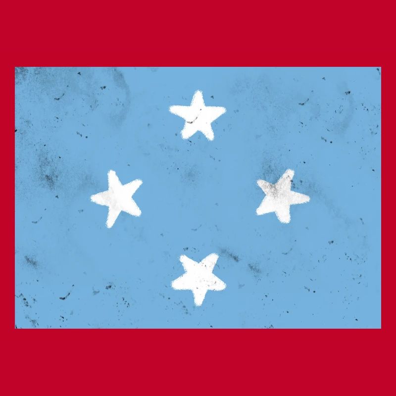 Drapeau de la Micronésie