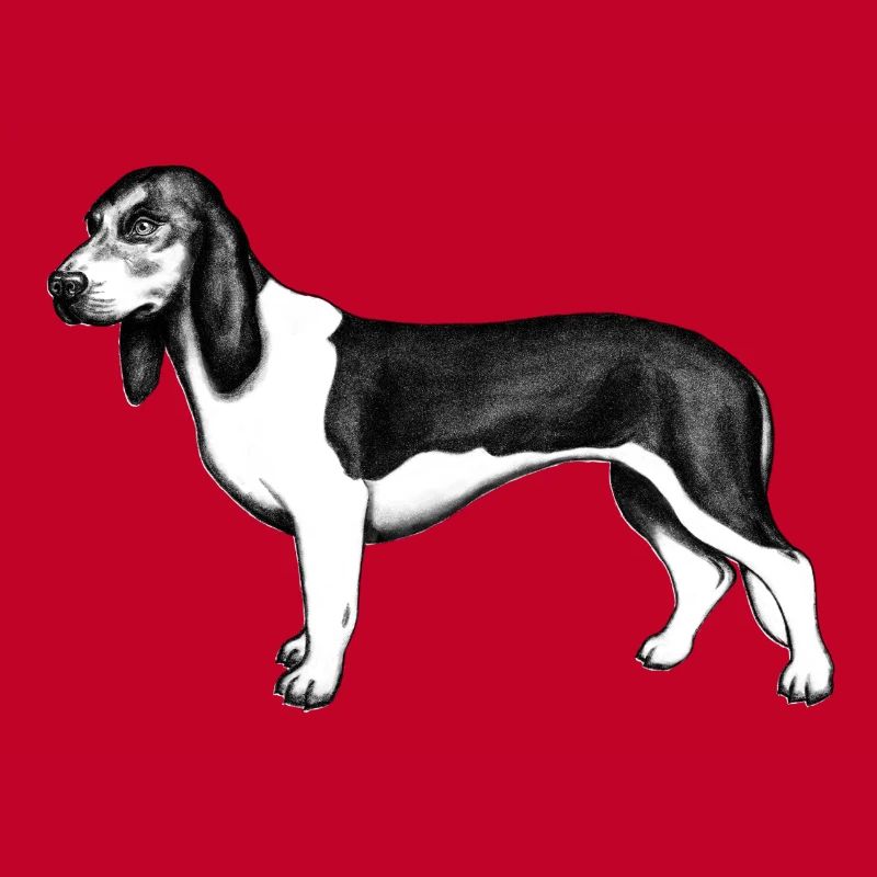 Chien de basse-course suisse