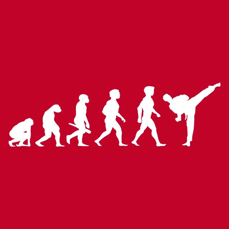 Evolution Karaté Arts Martiaux