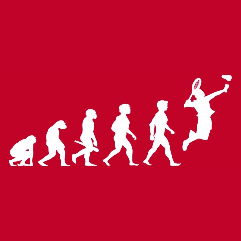 Evolution badminton shuttlecock shuttlecock player