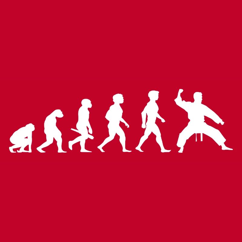 Evolution Karaté Arts Martiaux