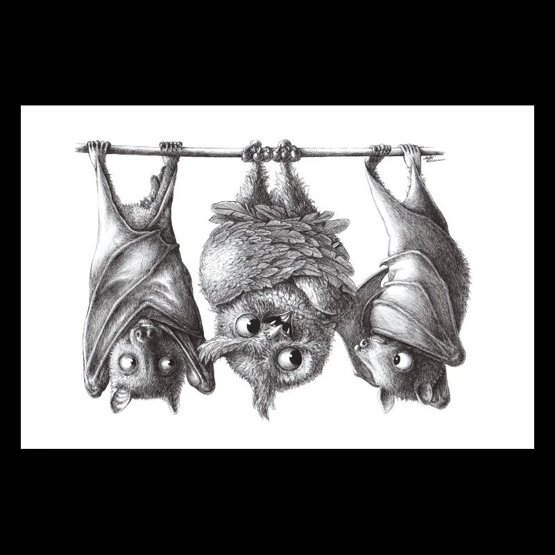 Vampireule und Fledermäuse