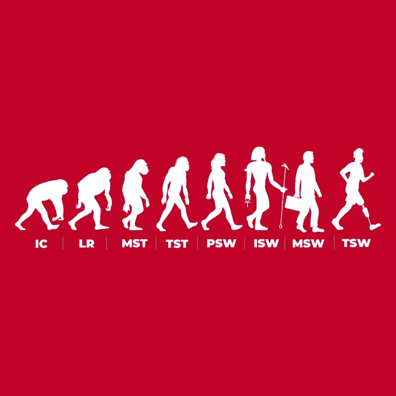 Die Evolution & der Gangzyklus (gOT it!)