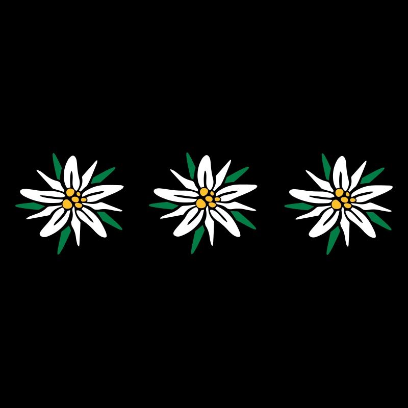 Edelweiss
