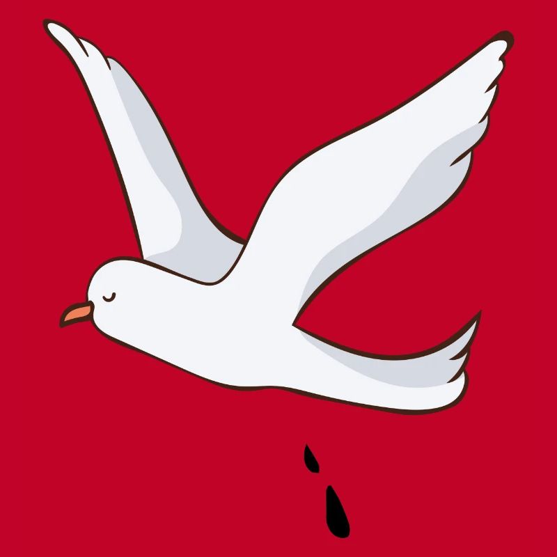 Möwe