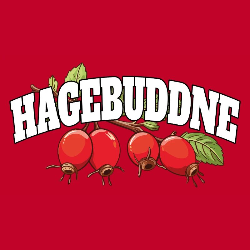Hagebuddne - Diction de jeu de mots sur le mème