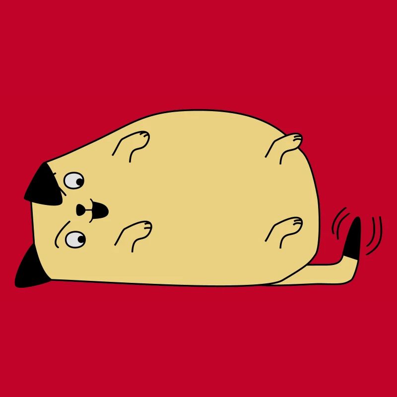 Chien regarde sa queue