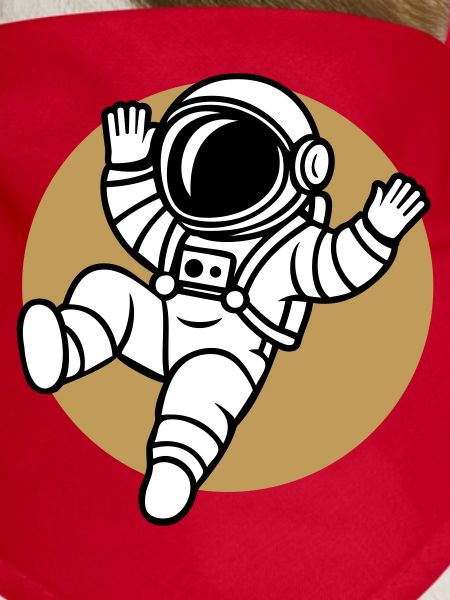 Saltonaut