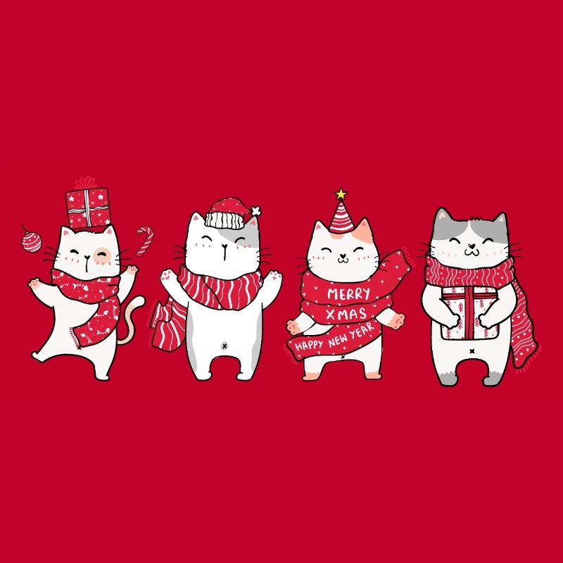 Chat à Noël