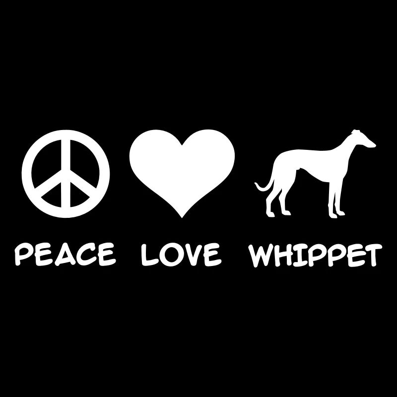 Whippet